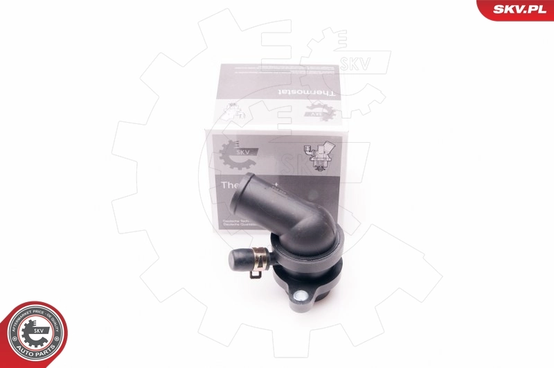 Thermostat, coolant